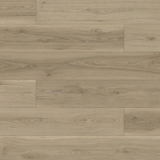 Fuzion FuzGuard - Arizona Fuzion FuzGuard - Arizona